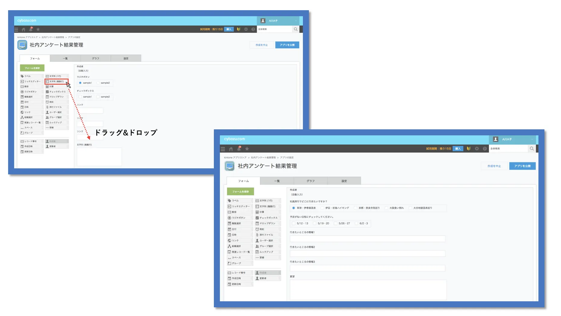 フィールド設定画面イメージ