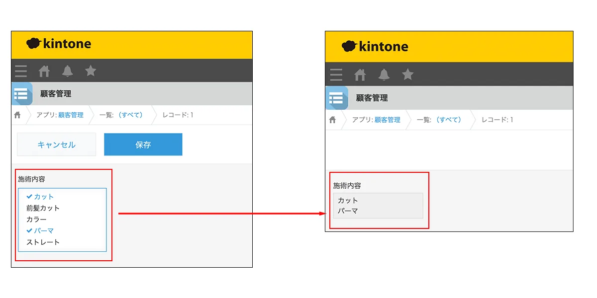 選択肢フィールド 活用イメージ